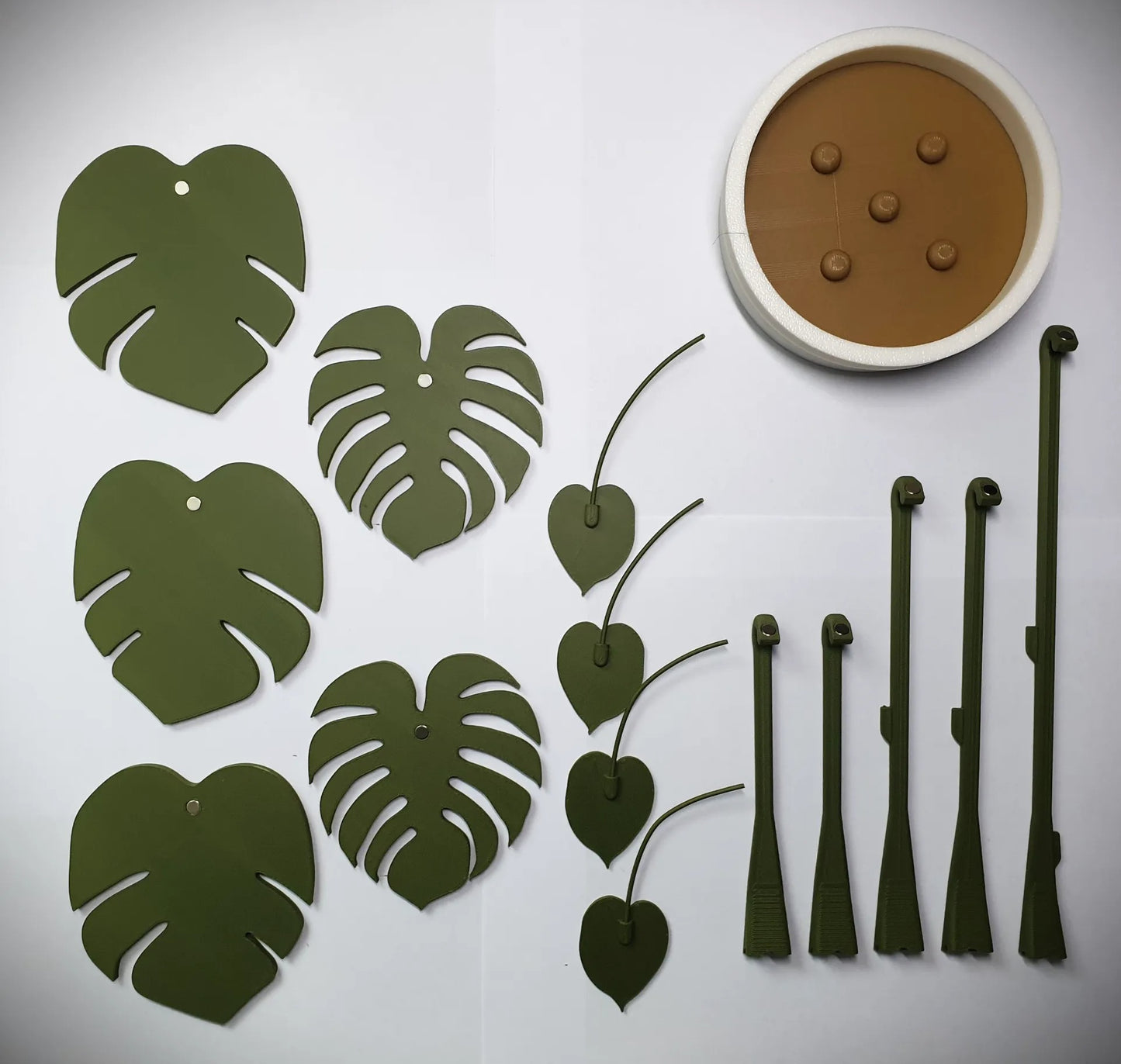 Monstera Plant Coaster