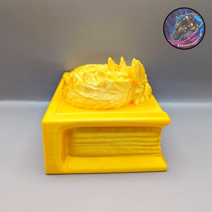 Feather Dragon Book Box – Enchanted Fantasy Storage