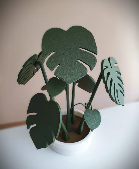 Monstera Plant Coaster