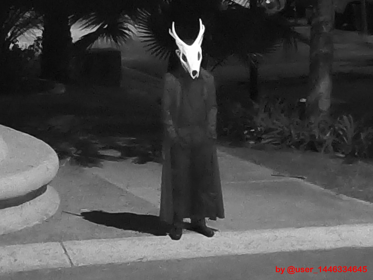 Wendigo Skull